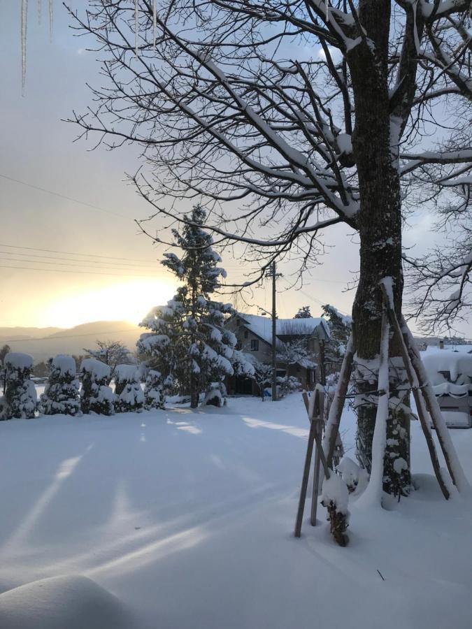 Hotel El Mayo Hakuba Exterior photo